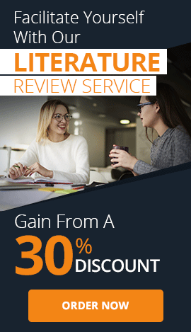 Avail 30% discount by using our literature review service